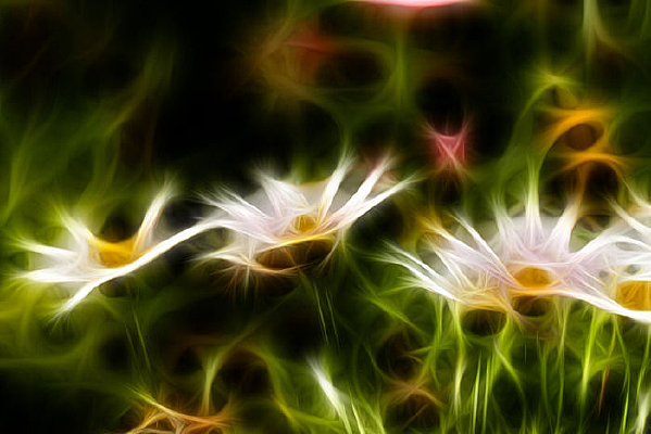 �������ͼ�λþջ�