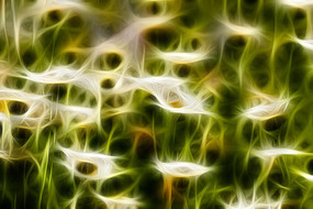 �������ͼ�޿򻭻���