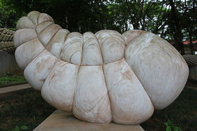 ����������