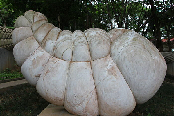 ����������