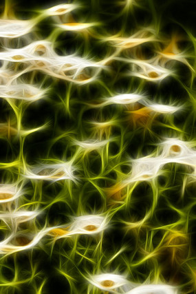 �ջ����λ���