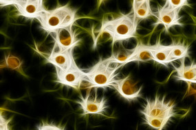 �ջ����޿�