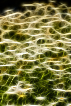 �ջ����޿���