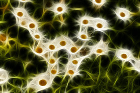 �ջ���������