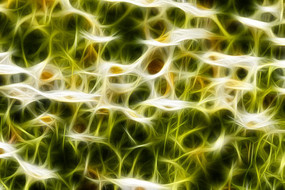 �ջ���װ�λ�