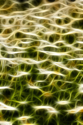 �ջ���װ����