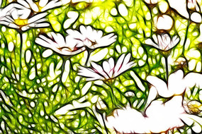 �ջ����޿�