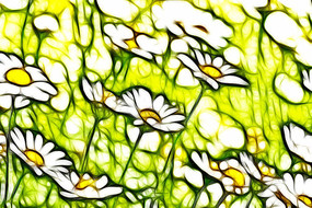 �ջ���������