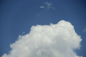 ��������Ʒɻ�