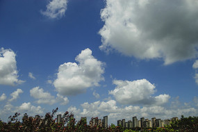 �������סլ��