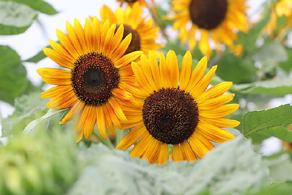 �������������