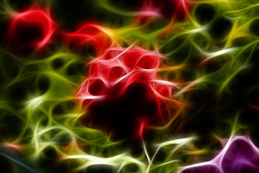 �λ��¼���