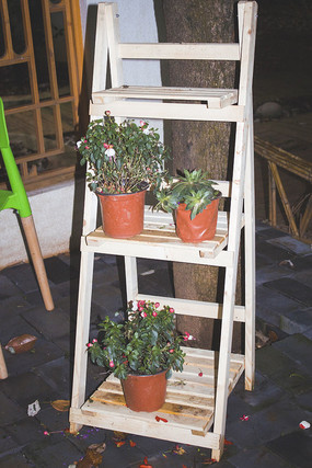 ľ�ʻ����ϵĻ���