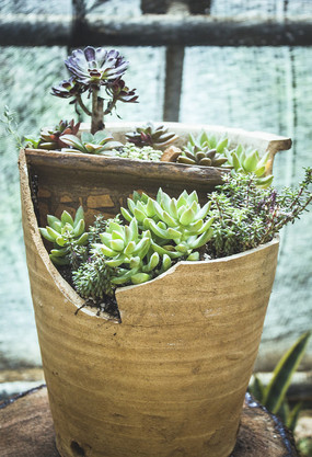 �ƾɻ�����Ķ���