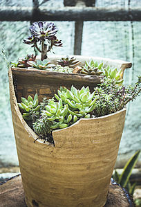 �ƾɻ�����Ķ���