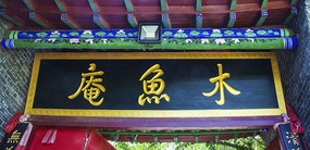 ǧɽľ������������