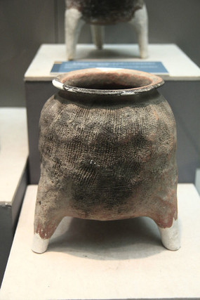 �������ت