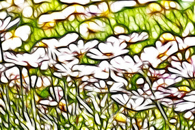 ���������ջ�