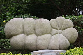 ˫�������