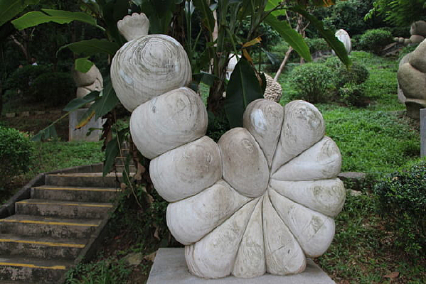 ����˹���ȳ�