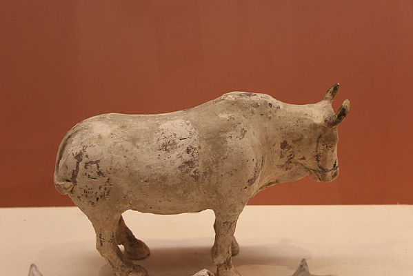 �ƴ���̥����ţ