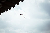 ����Ϸ���ķ���