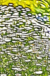 ͤͤ�����ľջ�