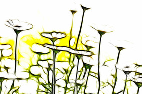 ͤͤ�����þջ�