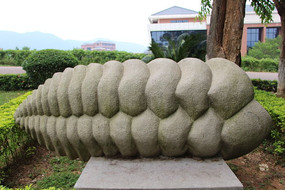 ͻ�մ�����