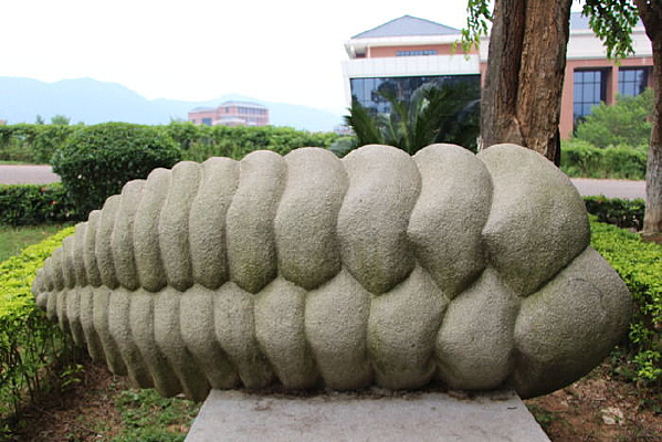 ͻ�մ�����