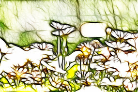 �޿򻭾ջ���