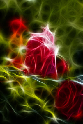 �޿��¼���