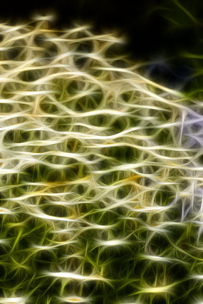 �޿���ջ���