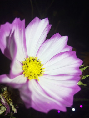 ҹ�����޵Ļ���