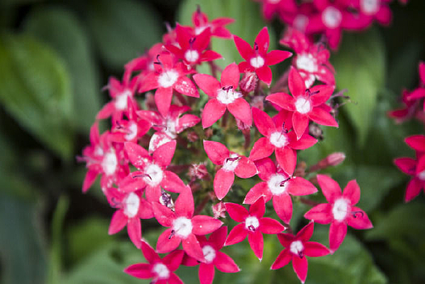 һ���ʻ��Ļ���