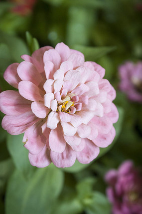 һ���ɫ�İ��վ�