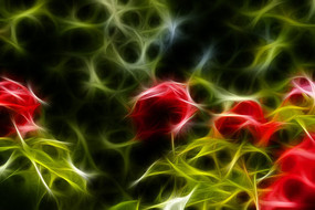 �������¼���