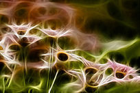 һ�����ջ�