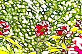 �¼������޿�