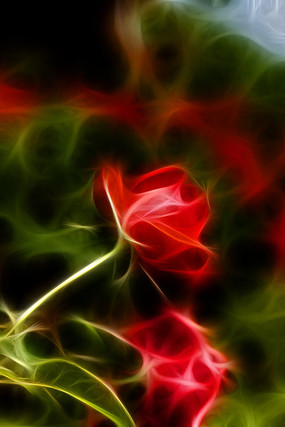 �¼����޿�