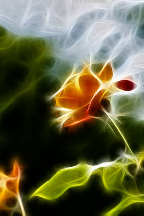 �¼���������