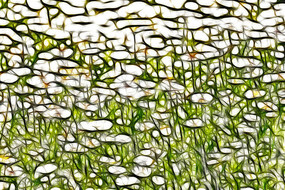 ���涷�޵ľջ�