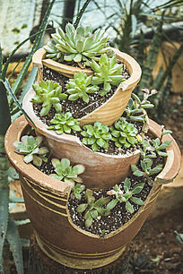 �ص�������Ķ���ֲ��