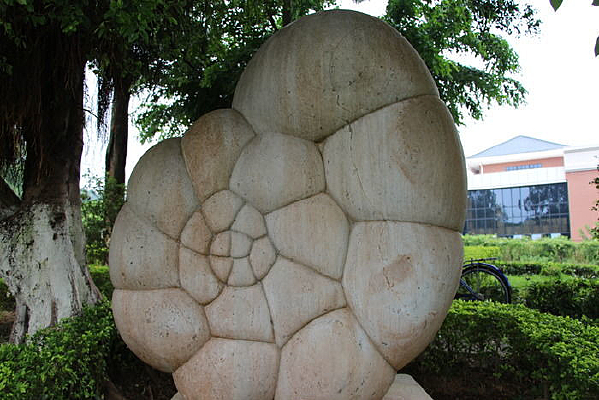 �����񷱳��