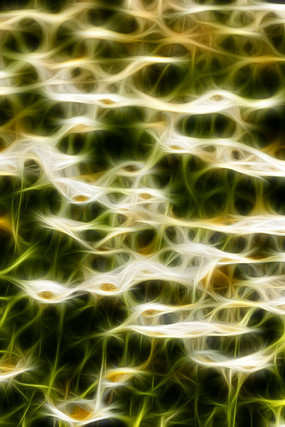 װ����ջ���