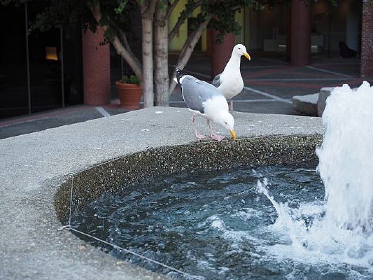 �رߺ�ˮ������