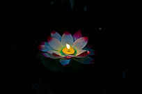 ������ĺӵ�