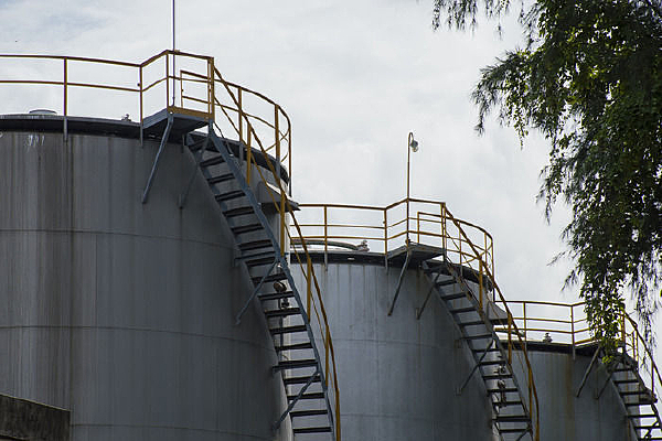  ���͹��봹���ֲ��