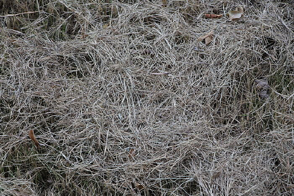 ��������ͼ