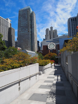 �����µ�����ֲ��